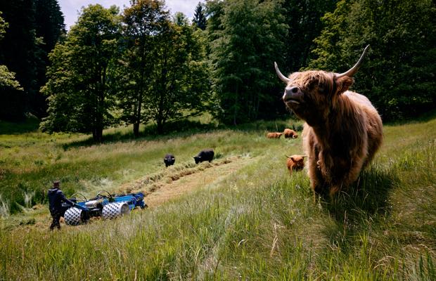 Vielfältige Landschaftspflege im Erzgebirge